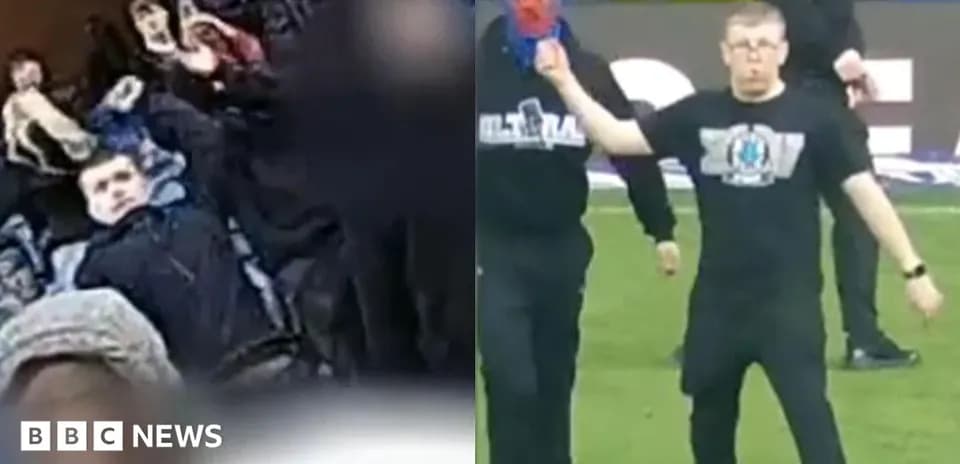 A fan celebrating and another on the field