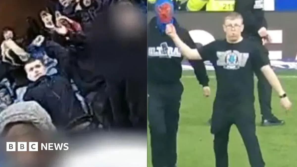 A fan celebrating and another on the field
