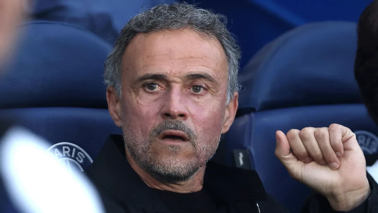 Entrenador observando el partido desde el banquillo