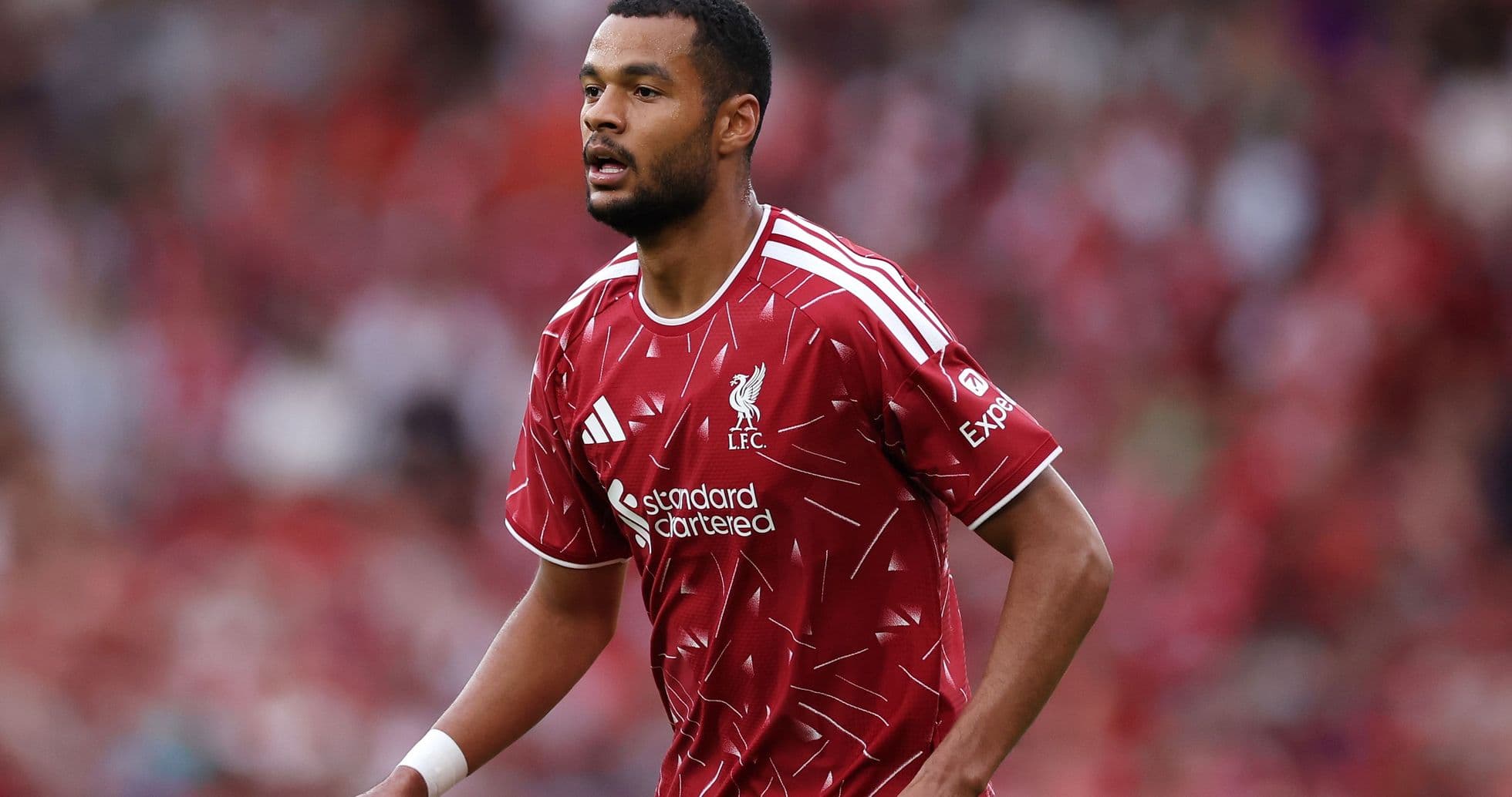 Iraola insinúa posible salida de Gakpo mientras Liverpool avanza por Barcola